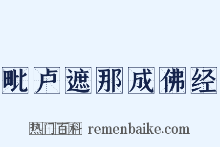 毗卢遮那成佛经是什么意思的图片